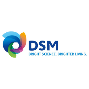 DSM Logo Buyers Guide